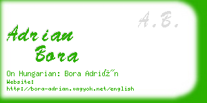 adrian bora business card